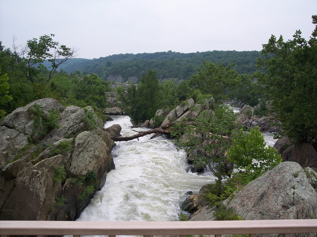 Great Falls, Md by Georgiebird