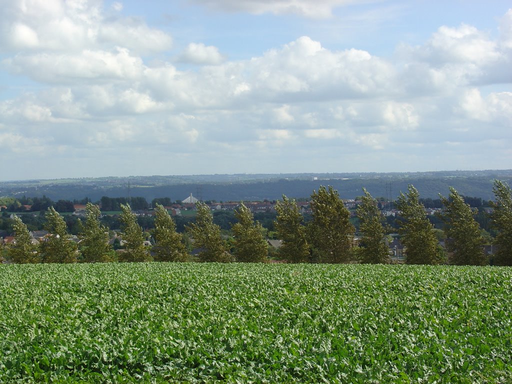 Vue sur Herstal 2 by JeanAlbinValle