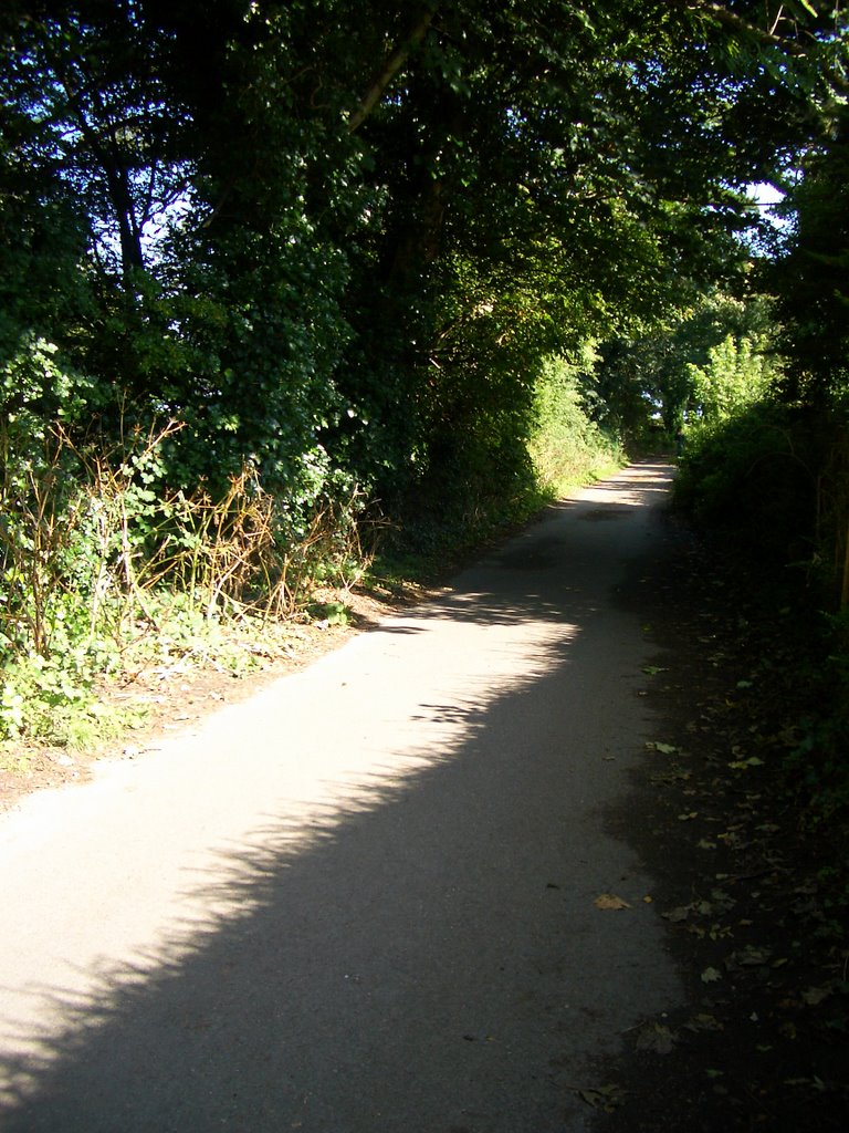 Lane to Shankill Beach 2 by Shankill