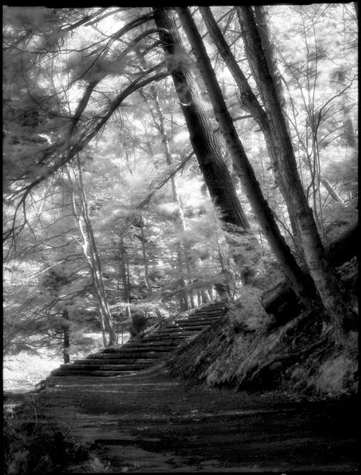 Stony Brook Park by Jinoh Lee