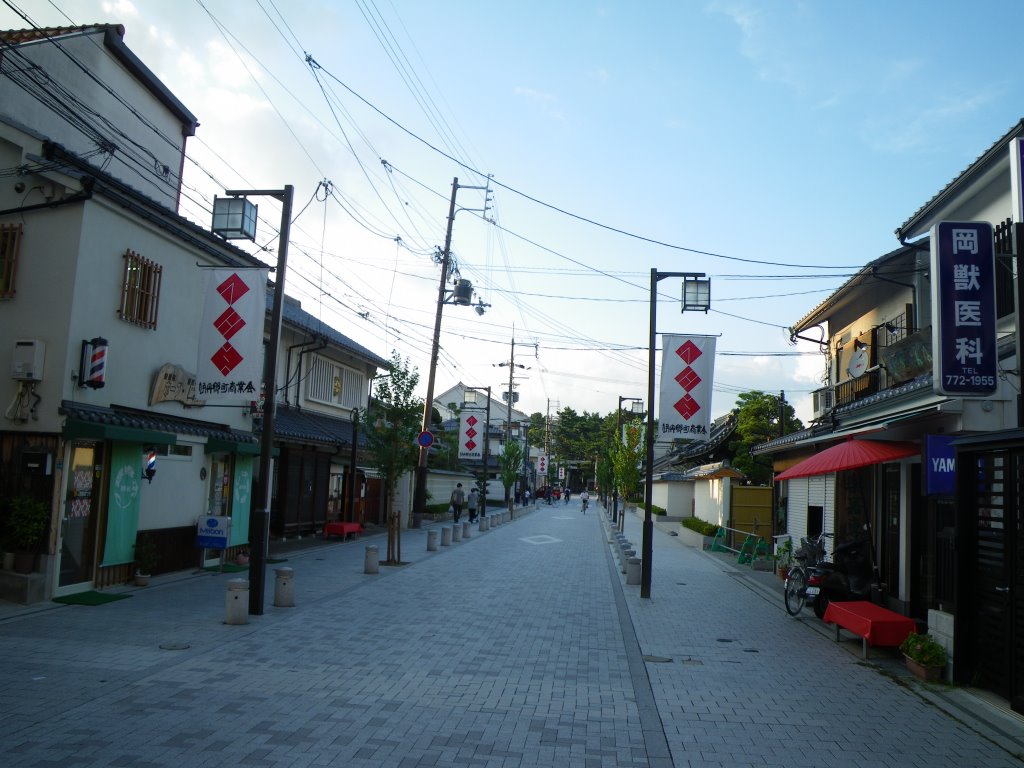 Inano Shrine 猪名野神社　参道 by murakami.cc