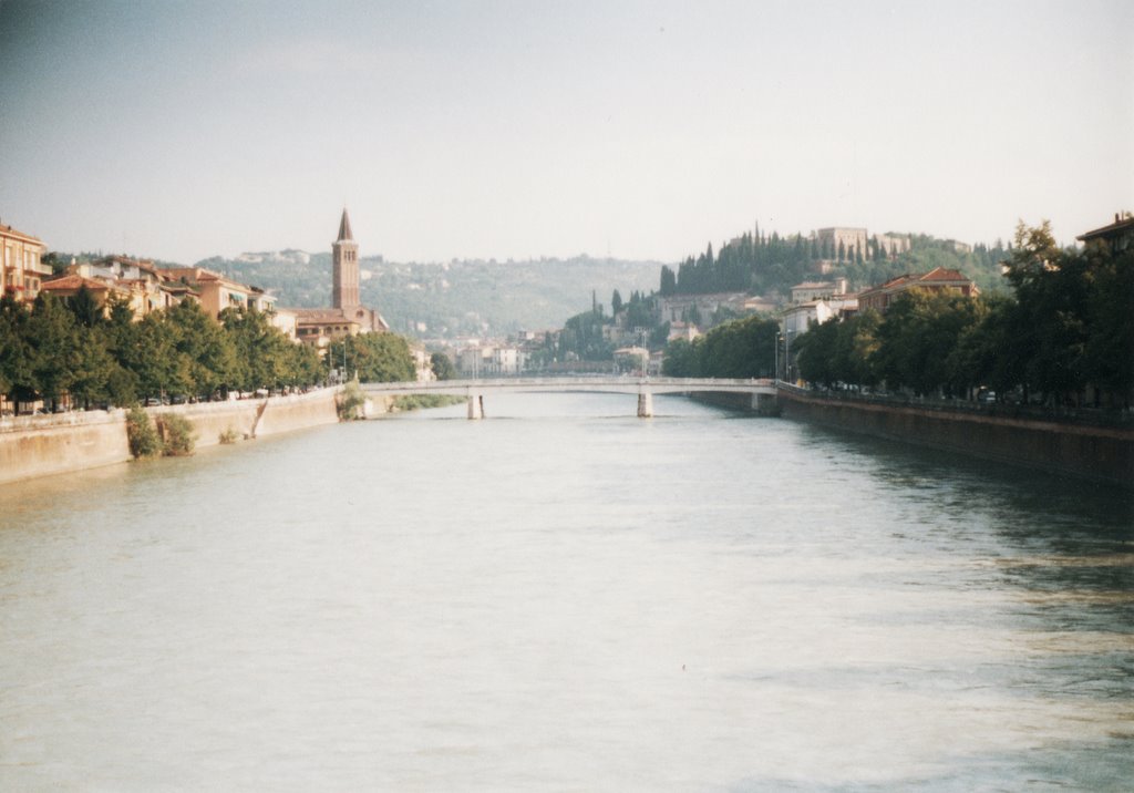 Verona panorama. by Diana Szavilla