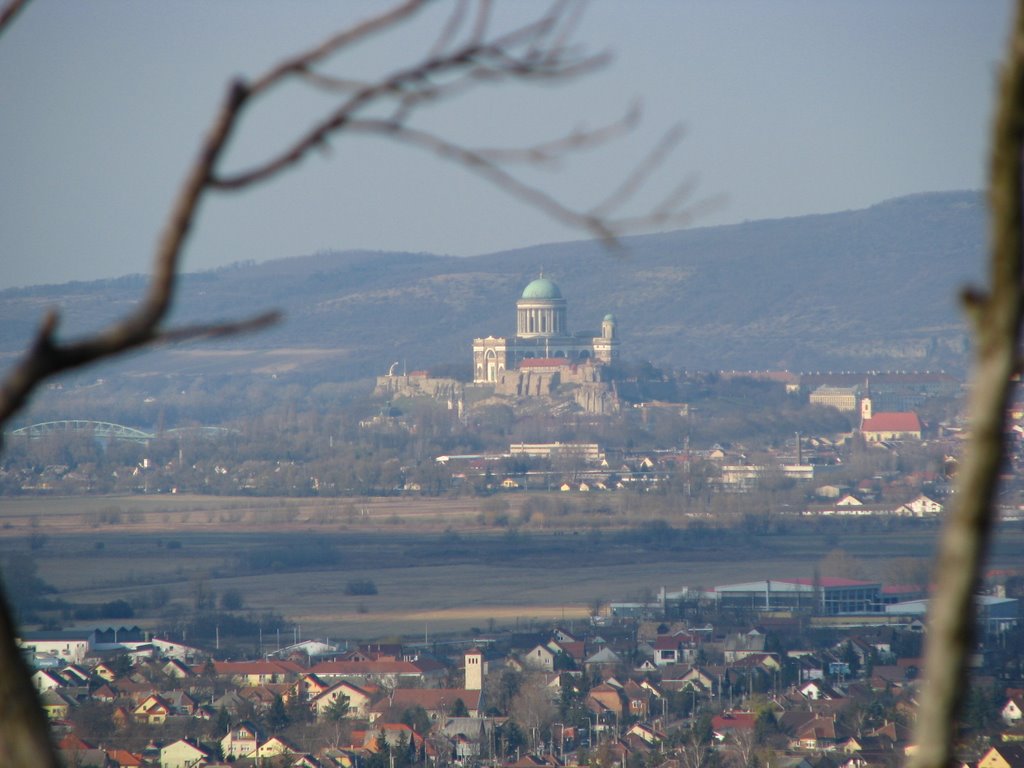 Esztergomi Bazilika Dorogon by posttag