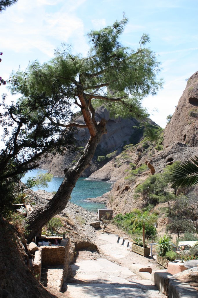 La Ciotat -Calanques des Figuerolles by Cunyami