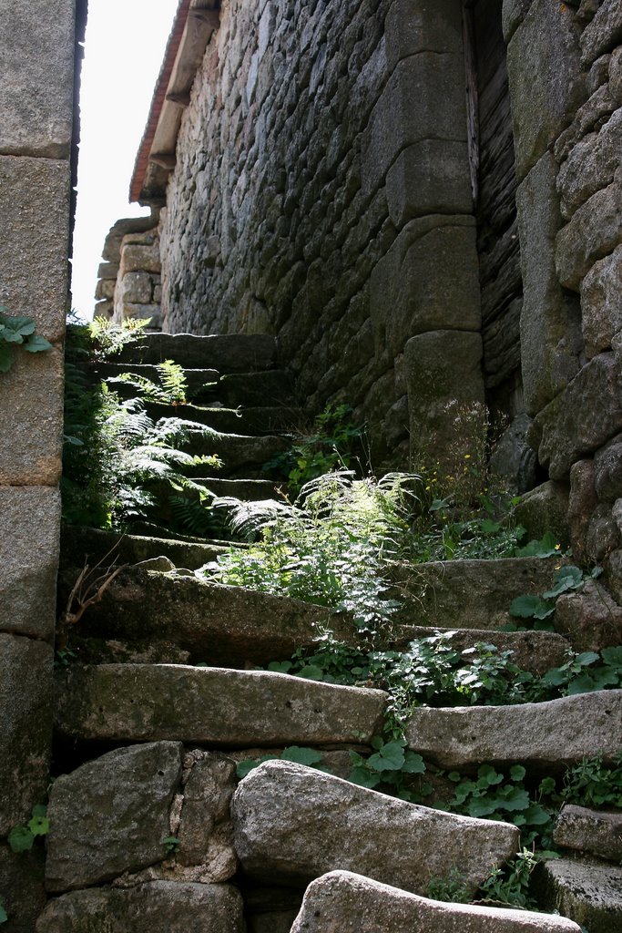 ESCALIER A LA GARDE GUERIN by Frédéric Adant