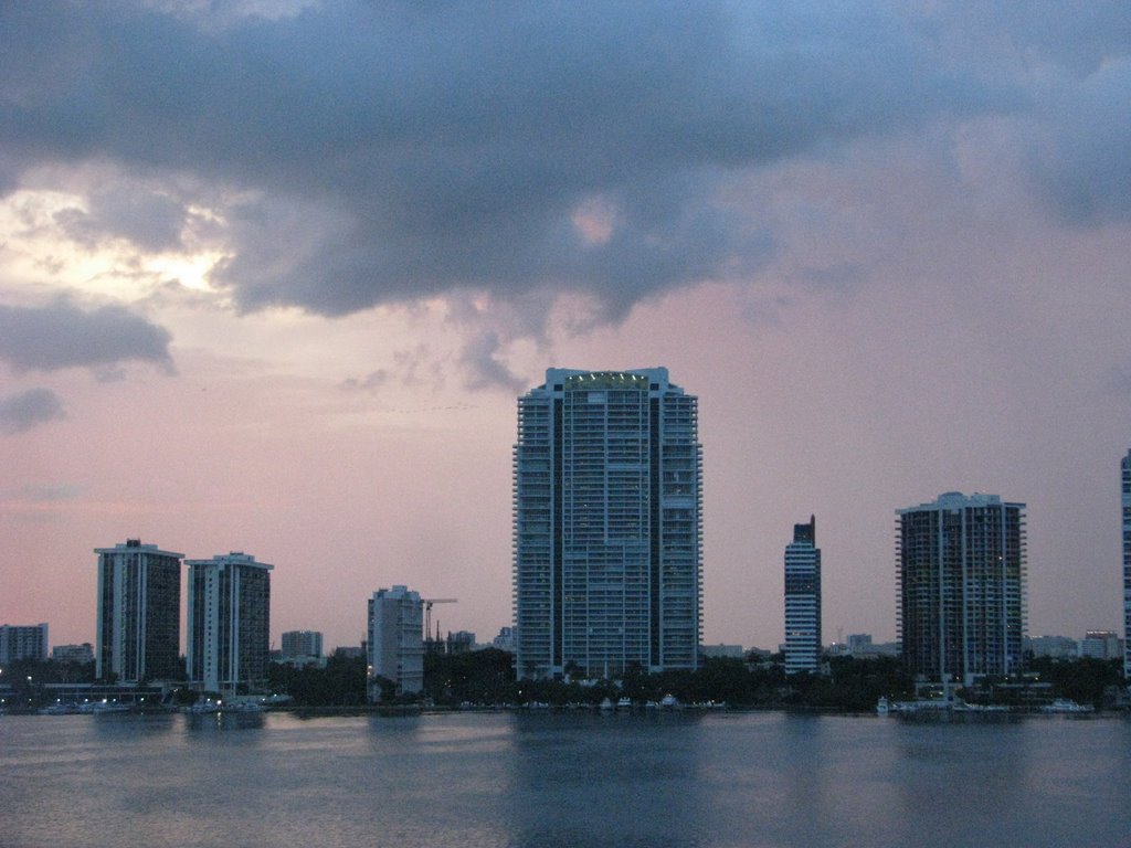 Downtown, Miami by Lilián de Arredondo