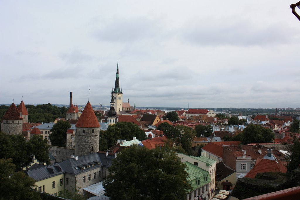 Old Tallinn by logaman