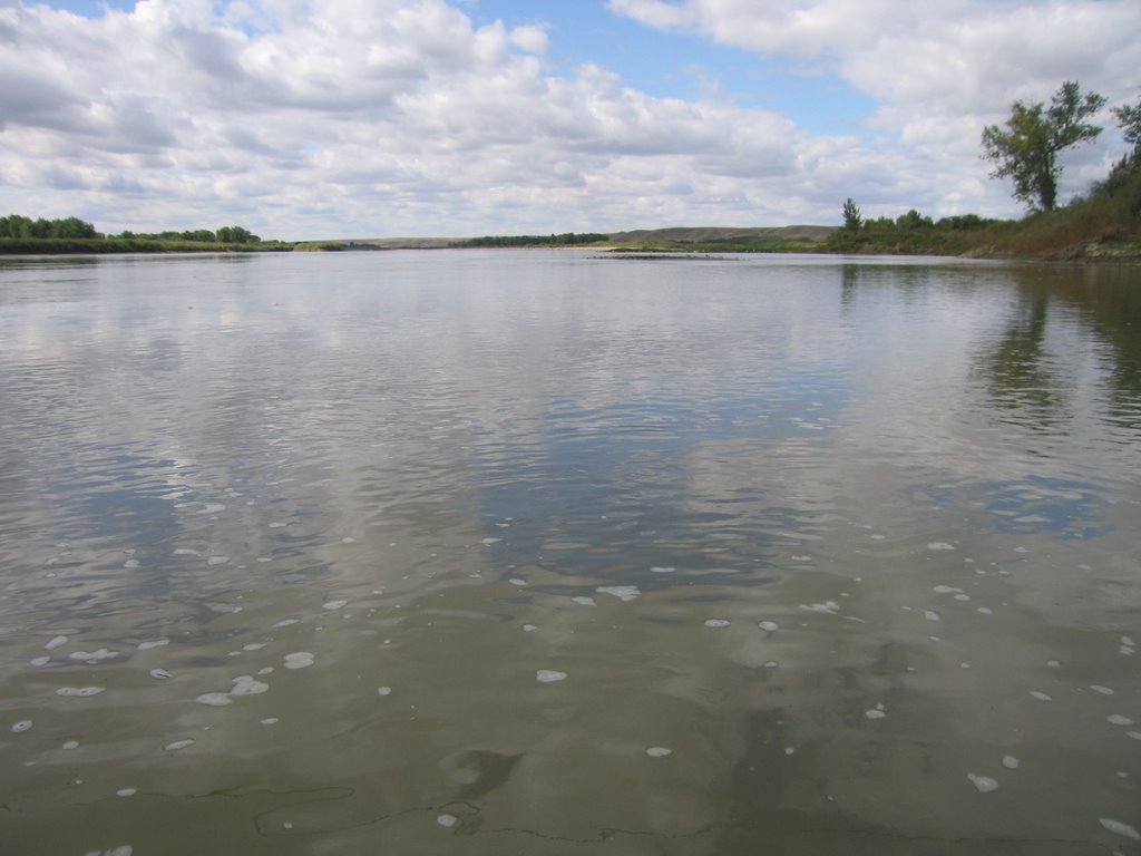 The Water's Edge Along the Mighty South Saskatchewan Valley Near Estuary SK by David Cure-Hryciuk