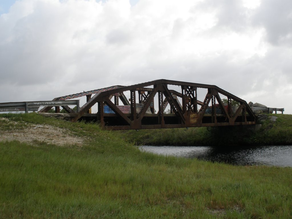 Steel Bridge. Sw 288 St 227 Ave. by Frank A MAYEDO