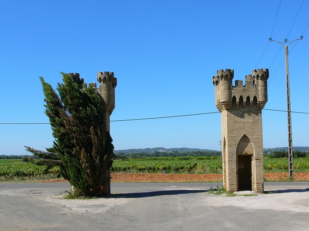 Chemin vers le chateau des fines roches, Chateauneuf-du-pape, France by Zendim