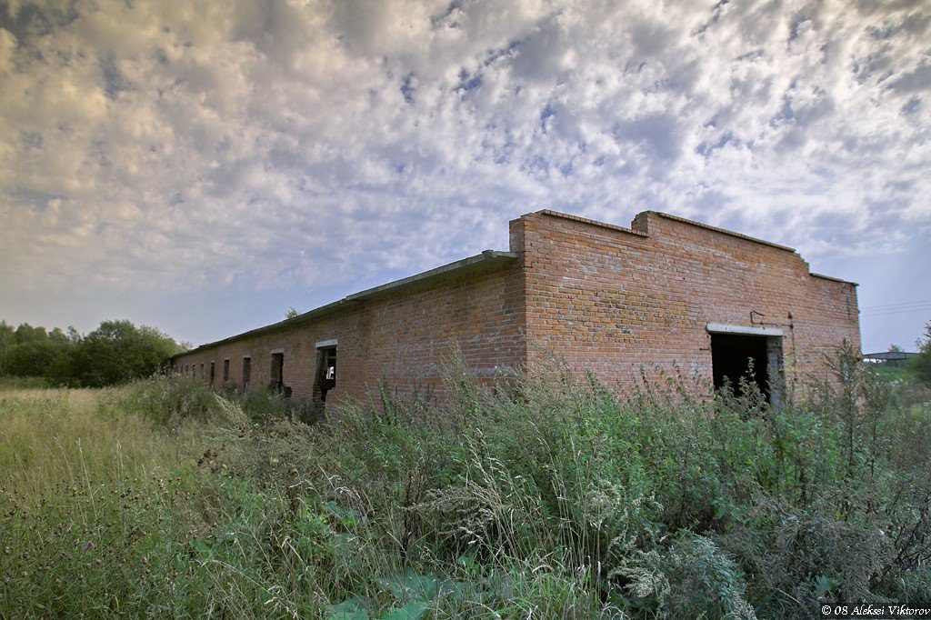 Maksimovka, Kaluzhskaya oblast', Russia, 249053 by Aleksei Viktorov