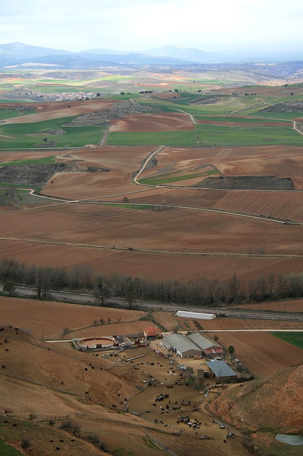 Vista desde el castillo de Jadraque by David Sánchez Núñez