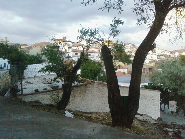 El Almendro despues de pasar la sierra del chacho Manuel,el hacha de mi abuelo y la motosierra de mi primo by Juan F.G.A.