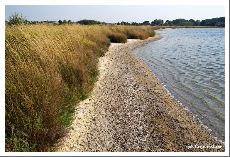 Ochakivs'kyi district, Mykolaivs'ka oblast, Ukraine by ydi