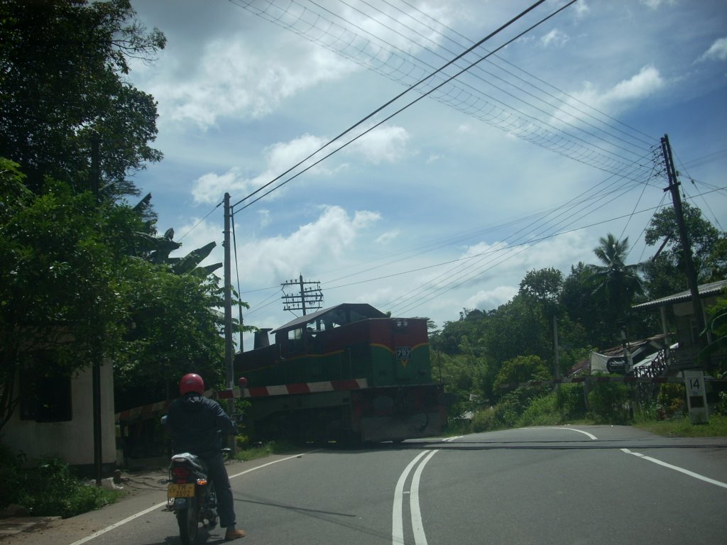 Railway Crossing/Nawalapitiya by Saman Jayawardene