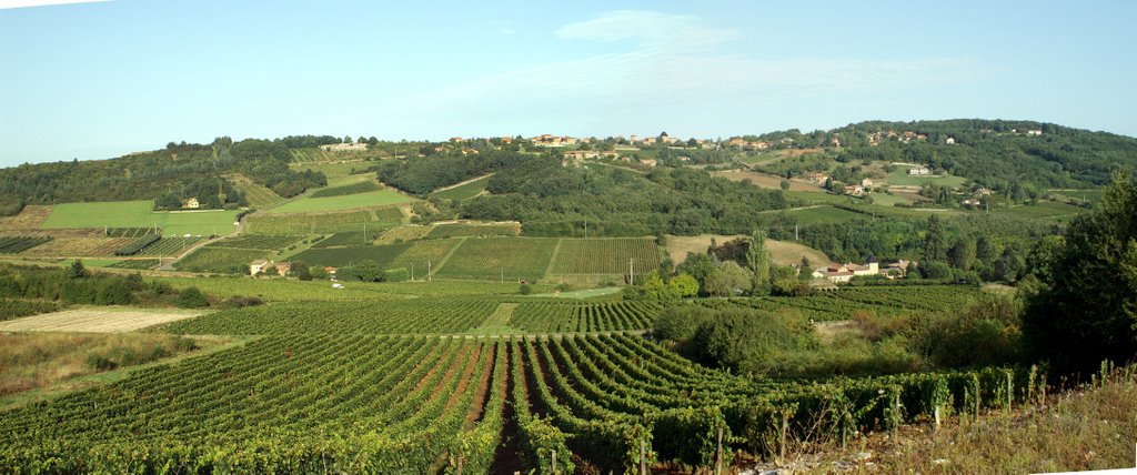 Panorama sur la colline de Charnay by Alain CORNU