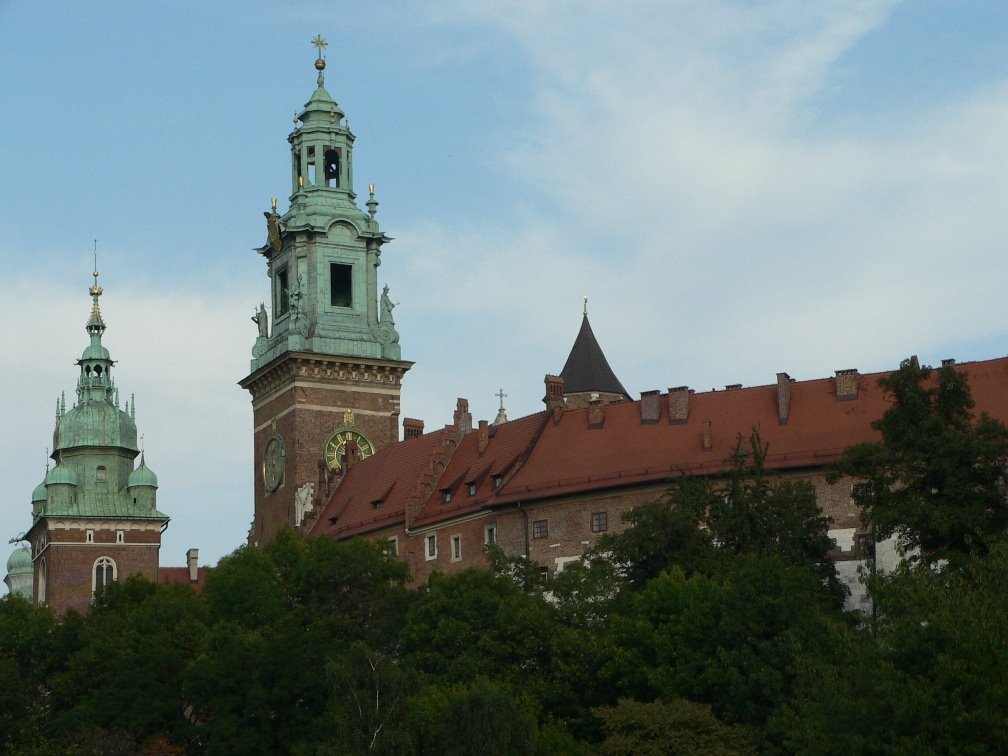 Wawel Cathedral, Kraków, Poland by Dora Tombacz