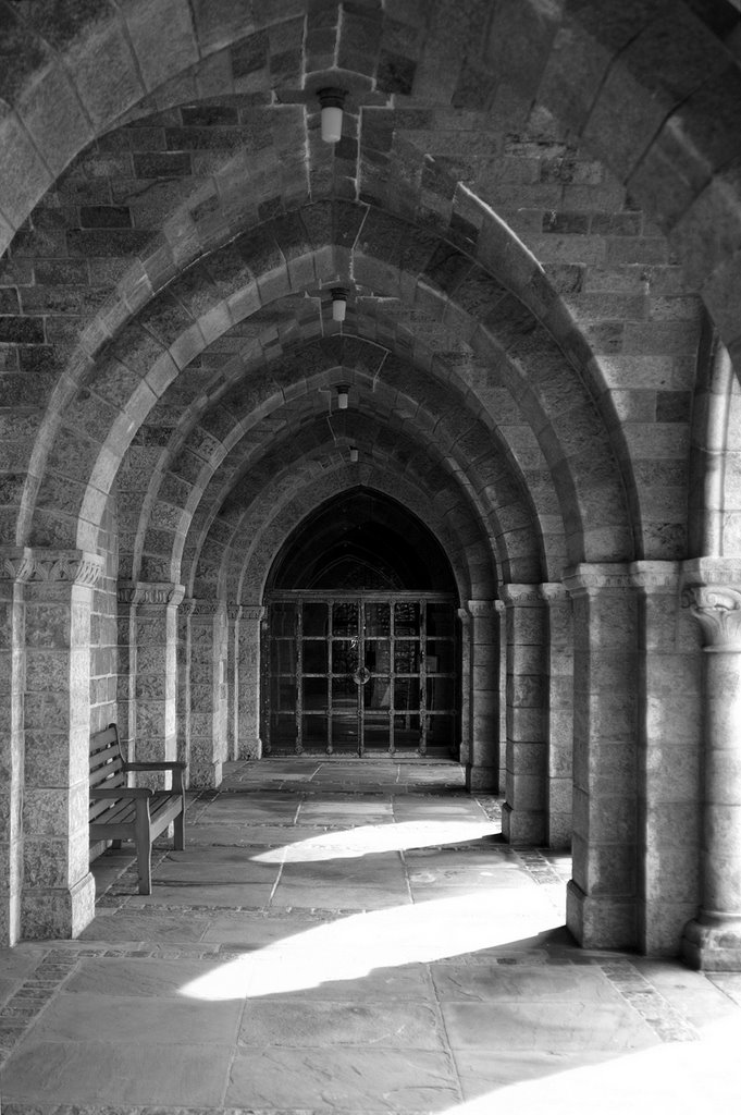 Arches at the Cathedral by TLHansell