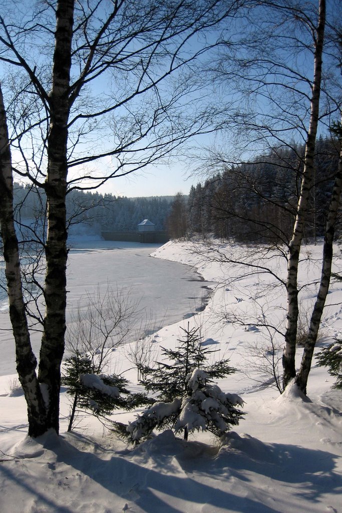 Eckerstausee im Winter by Markus.