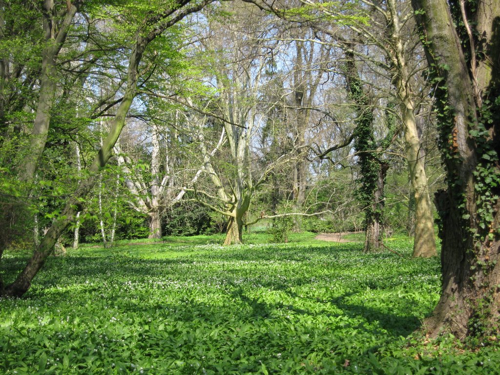 Esterházy-kastély parkja, Szigliget by Attila Kiss