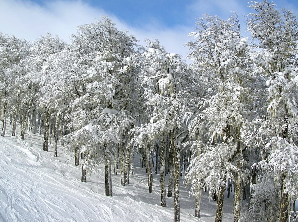 Chapelco - Cuadruple by Nestor Magnani