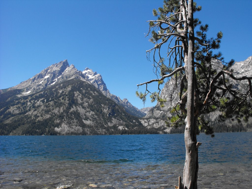 Grand Teton & Jenny Lake by Chris Sanfino