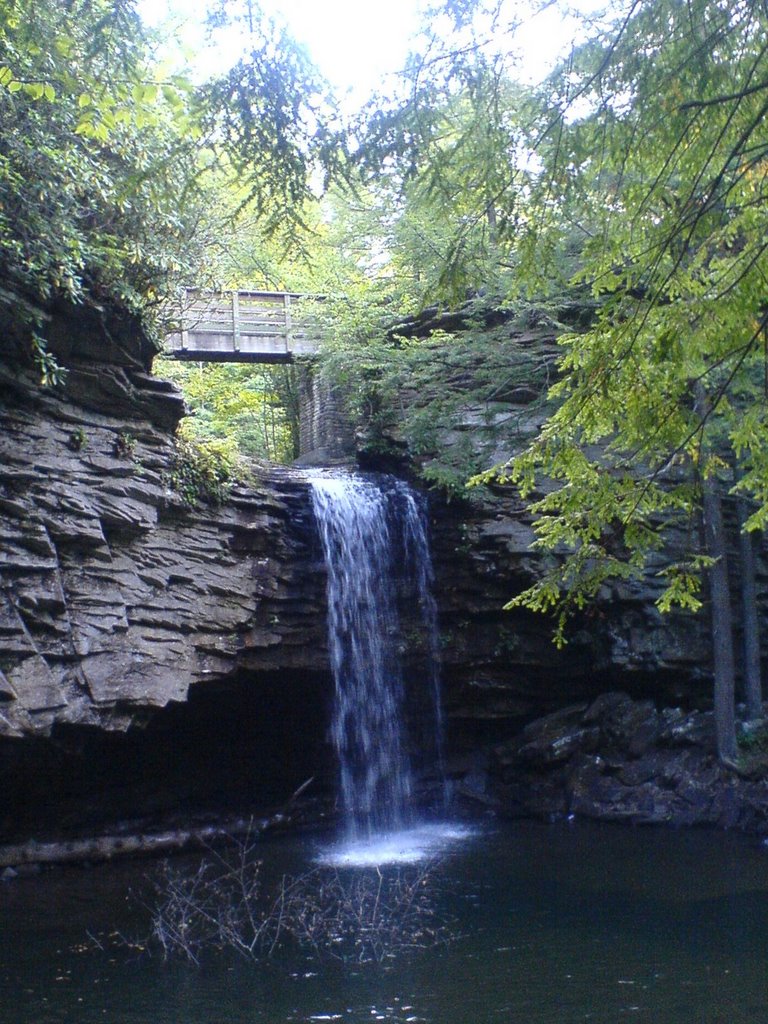 Upper Falls of the Stony by Dennis Mott