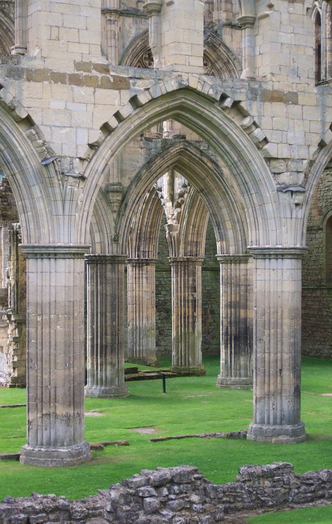 Rievaulx Abbey by Mgmat