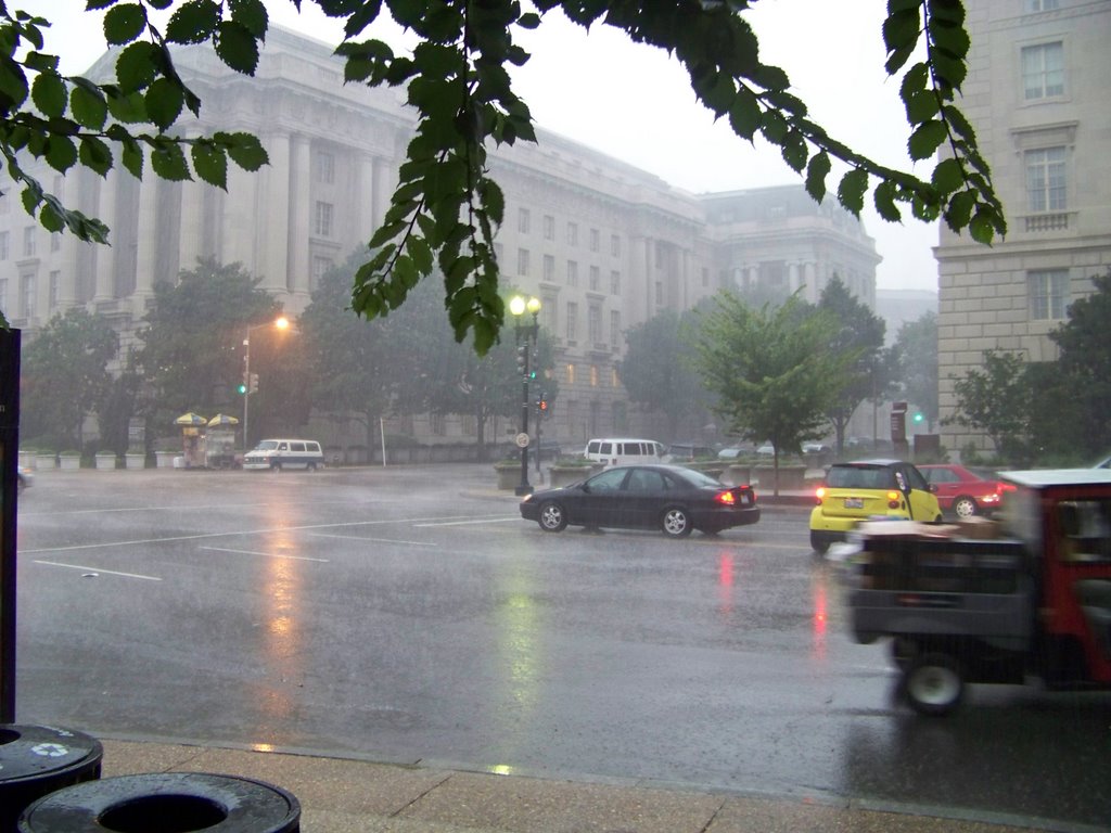 DC Downpour by Layne Parmenter