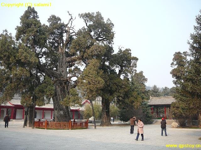 Huangling, Yan'an, Shaanxi, China by mataoan