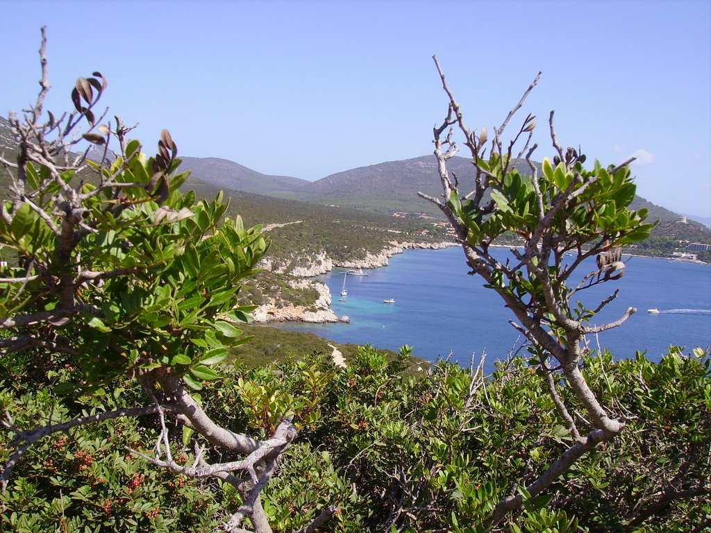 Capo Caccia by Davide Barzaghi