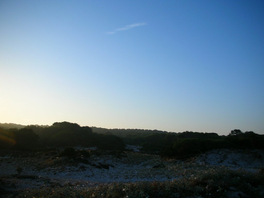 Es Trenc Dunes at the Sunrise. Summer 2008 by Romualdas_arm