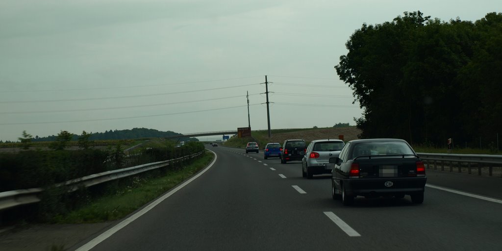 Highway "A1/A9/E23/E25" Switzerland (09/2008) by NilsW