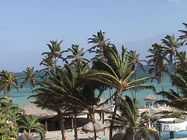 Aruba - Looking out of Holiday Inn Sun Spree Hotel by sixftfourr