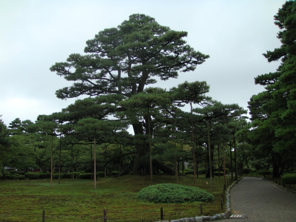 Kanazawa Kenrokuen(兼六園) by julues