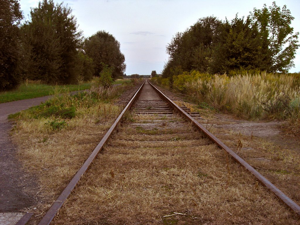 Berliner Mauerweg - bei Blankenfelde (Berlin) - Bahnübergang by SMikey