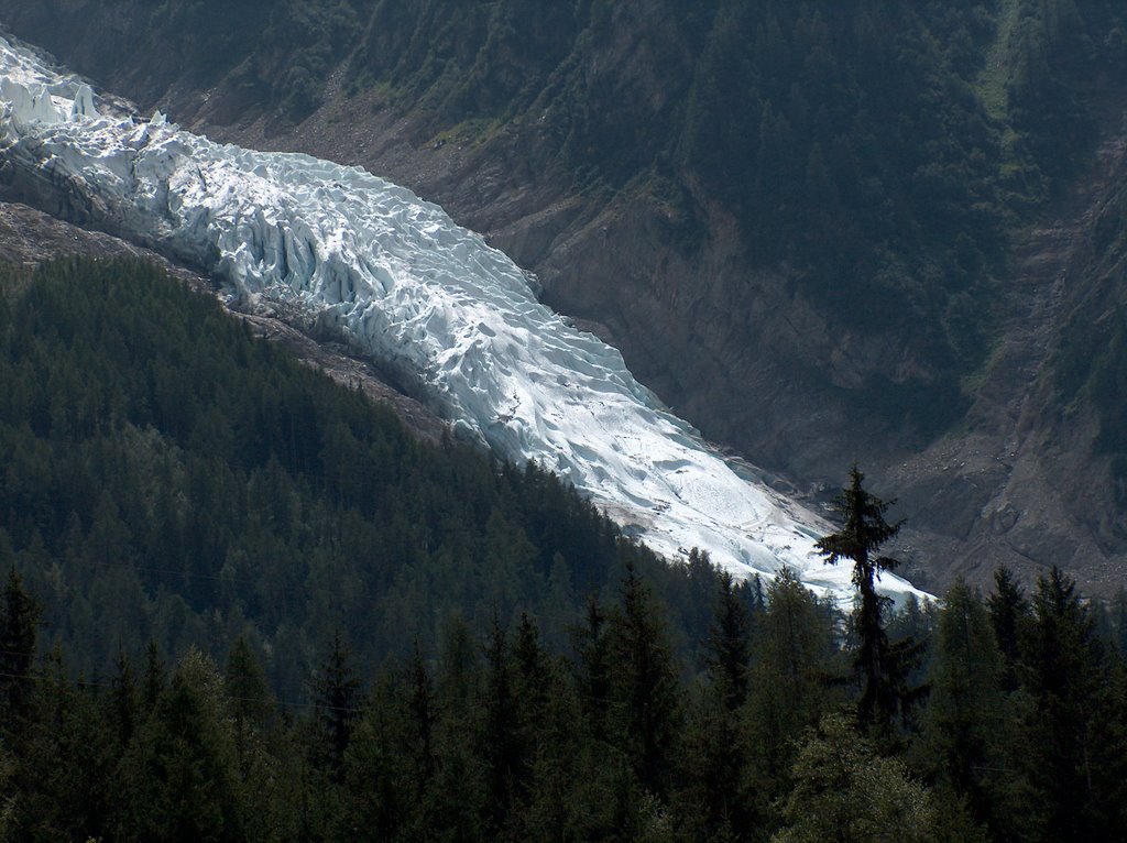 Glacier des Bossons2006 by Berndt Hanka