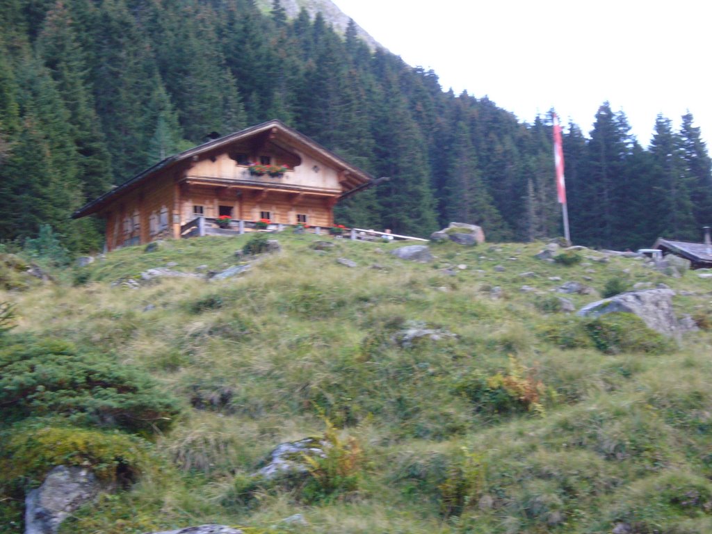 Blick auf die Trisselalm by FrankHendricks