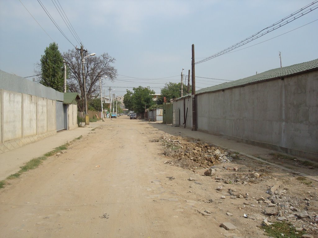 Progresul, Bucharest, Romania by Eugen Simion