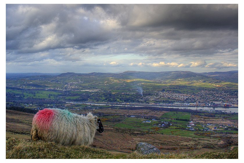 Ireland by Anna Lengowska