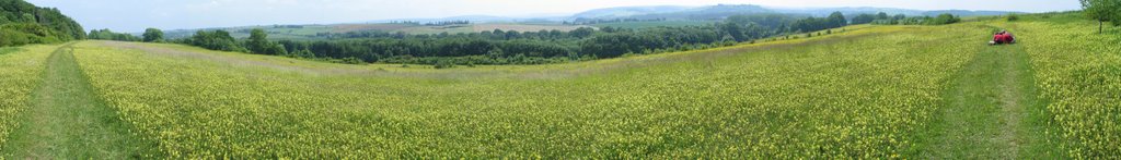 Meadow near Eys by Robert Eckersley