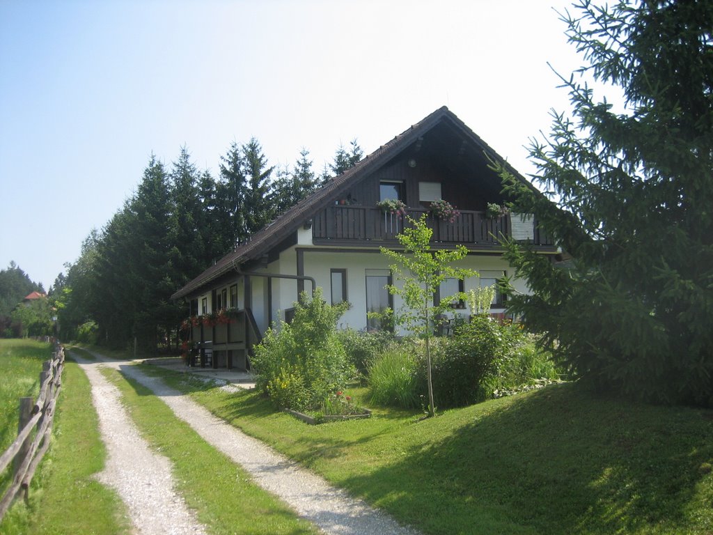 House in Mayersdorf, Austria by mikelward