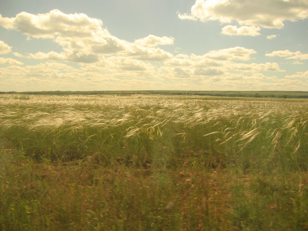 Донская степь near Baybayi, Volgogradskaya Oblast' (Russia) by garmoniagala8