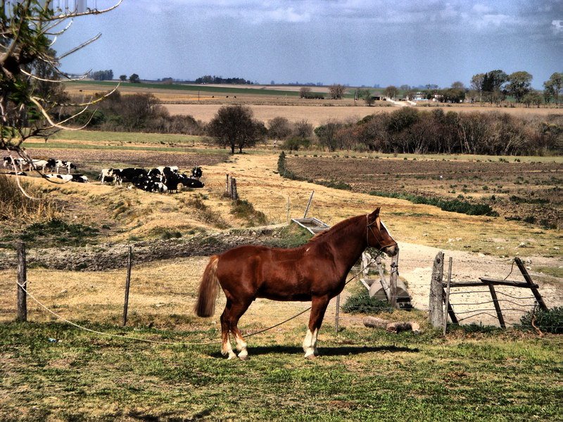 Vista al Sur Este. Campo en HDR by momobonavetti