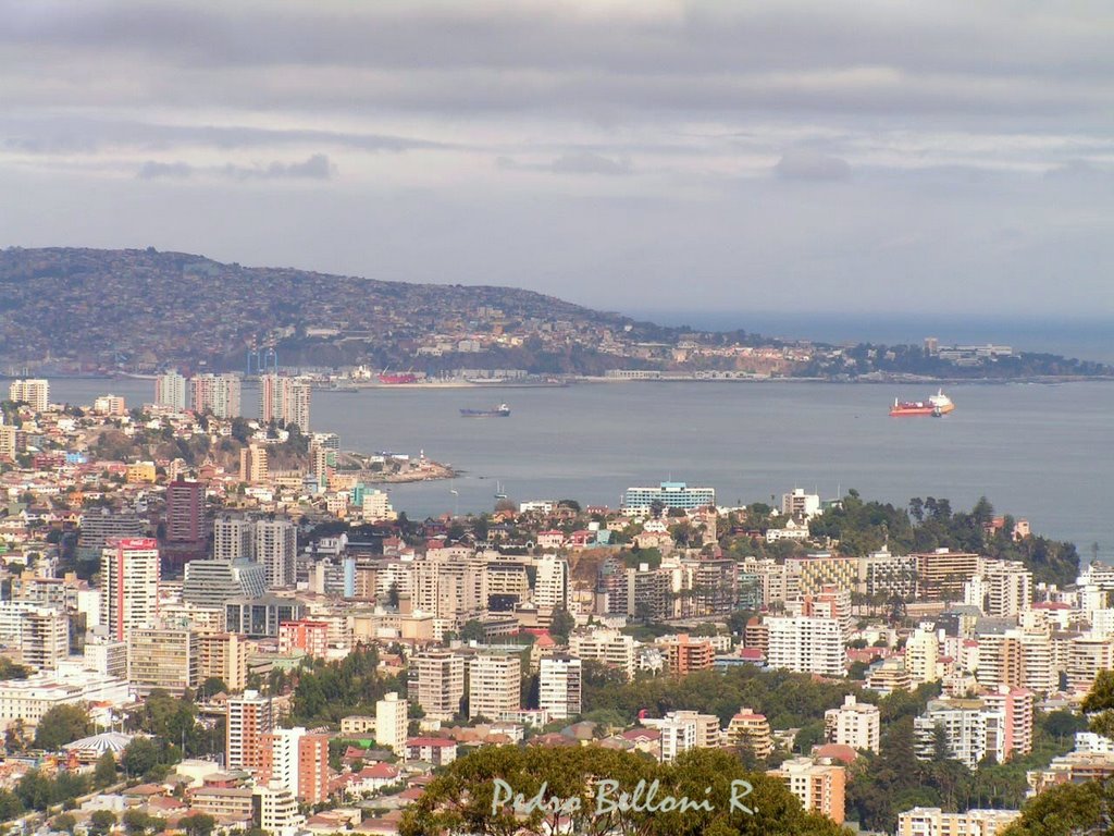 Vista de Viña del Mar by PedroBoris