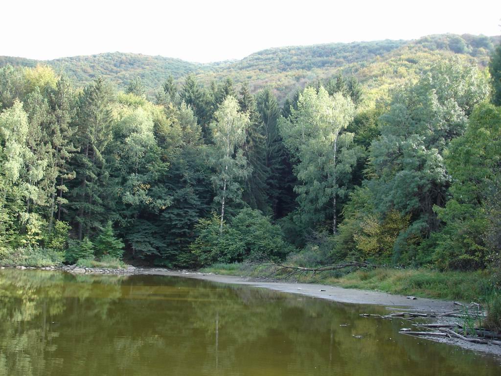 Lake Boyana / Боянското езеро by Svilen Enev