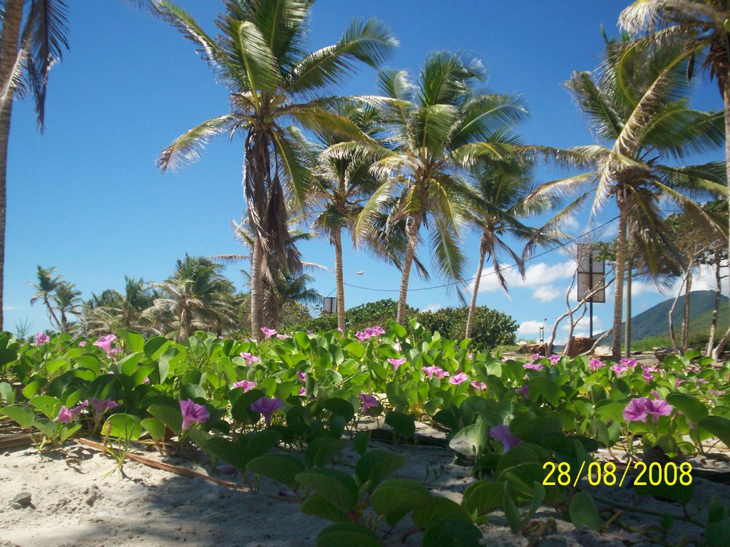 Playa El Agua, Margarita by Mabley