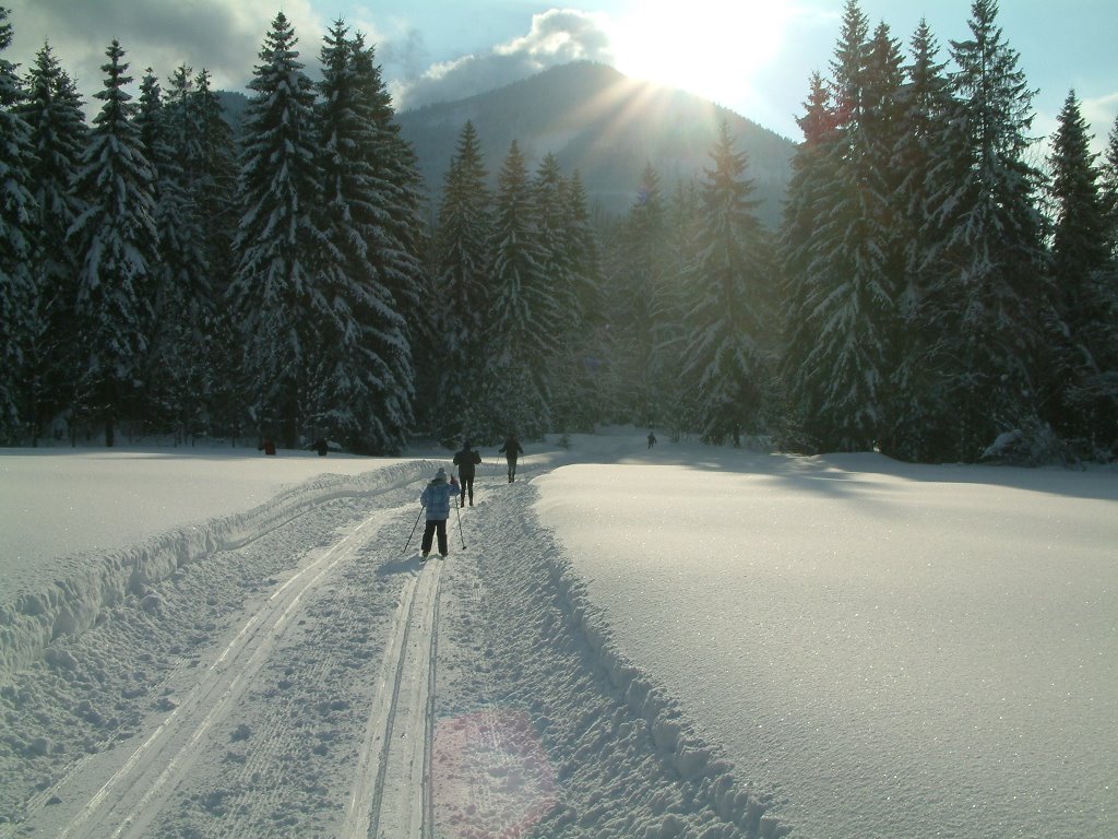 Tiefbrunnau, Salzburg - winter 2006 by SmithPM