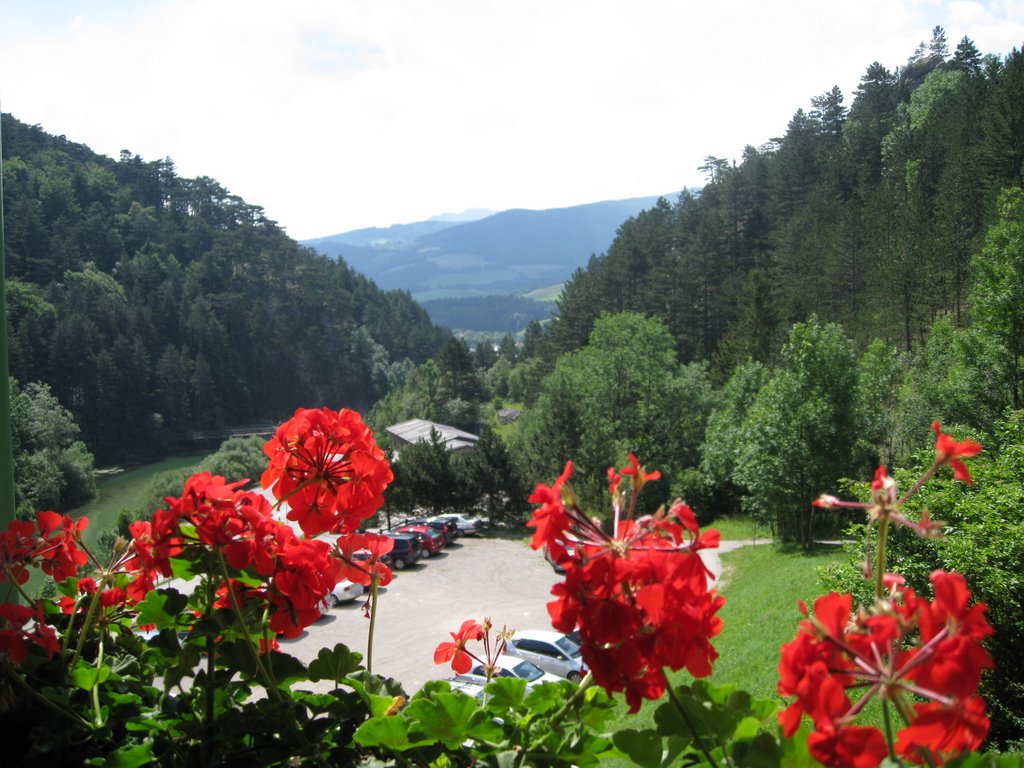 Gemeinde Reichenau an der Rax, Austria by molnar.andr