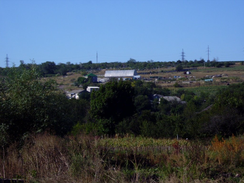 Codru, Moldova by wladimir7